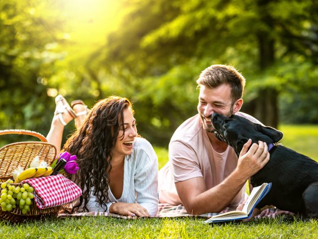 Going on a Picnic? Pack This in Your Basket