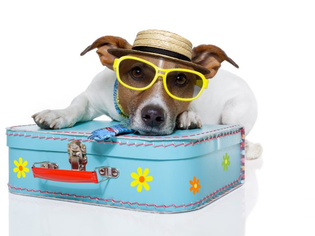 Tips for Coping with Travel Anxiety