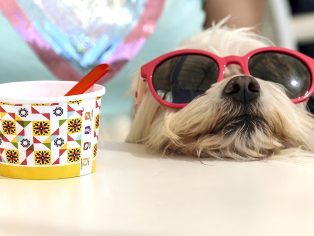 Tips for Guilt-Free Summer Eating