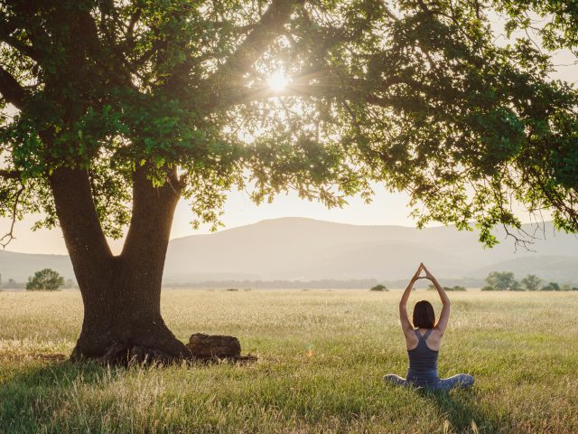 The Link Between Physical and Mental Health