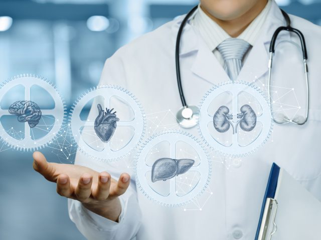 How Diabetes Affects Your Heart and Kidneys