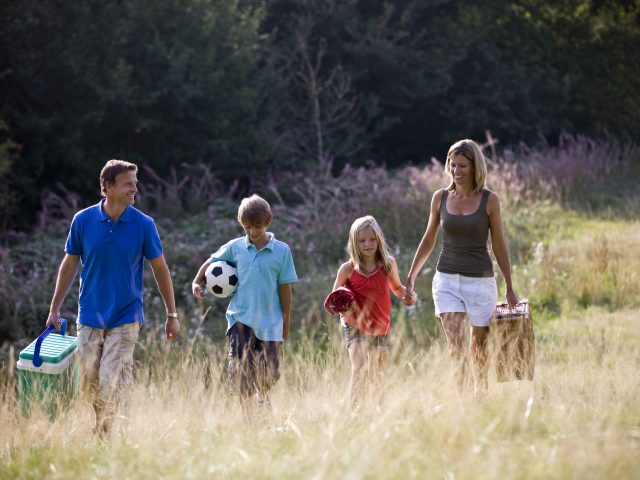 6 Ways to Keep Picnic Foods Safe