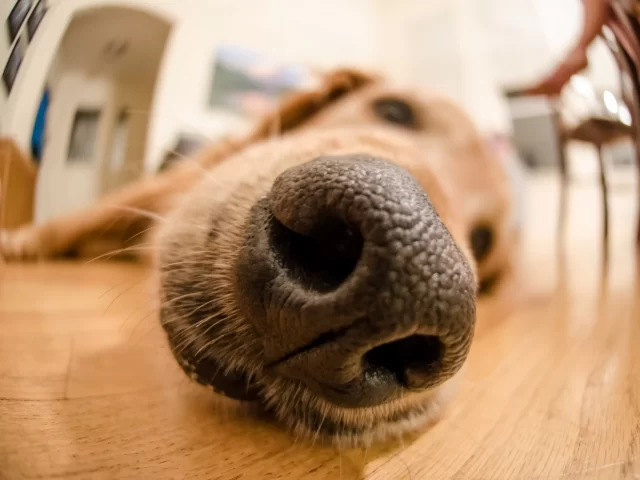 Weird Ways Your Body Warns You Something is Wrong