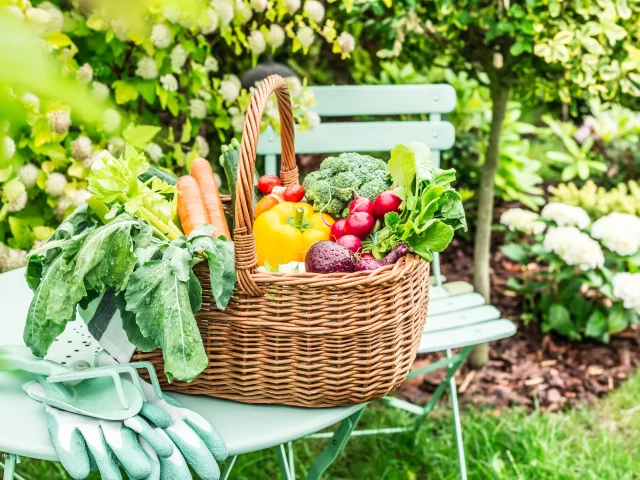 5 Easy Dishes to Make with Summer Produce