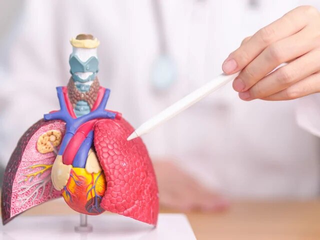 What’s the Difference Between COPD and Emphysema?