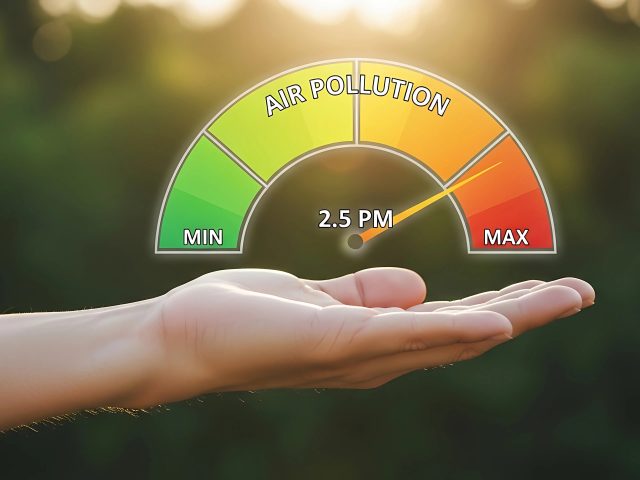 How Summer Air Quality Affects Your Lungs